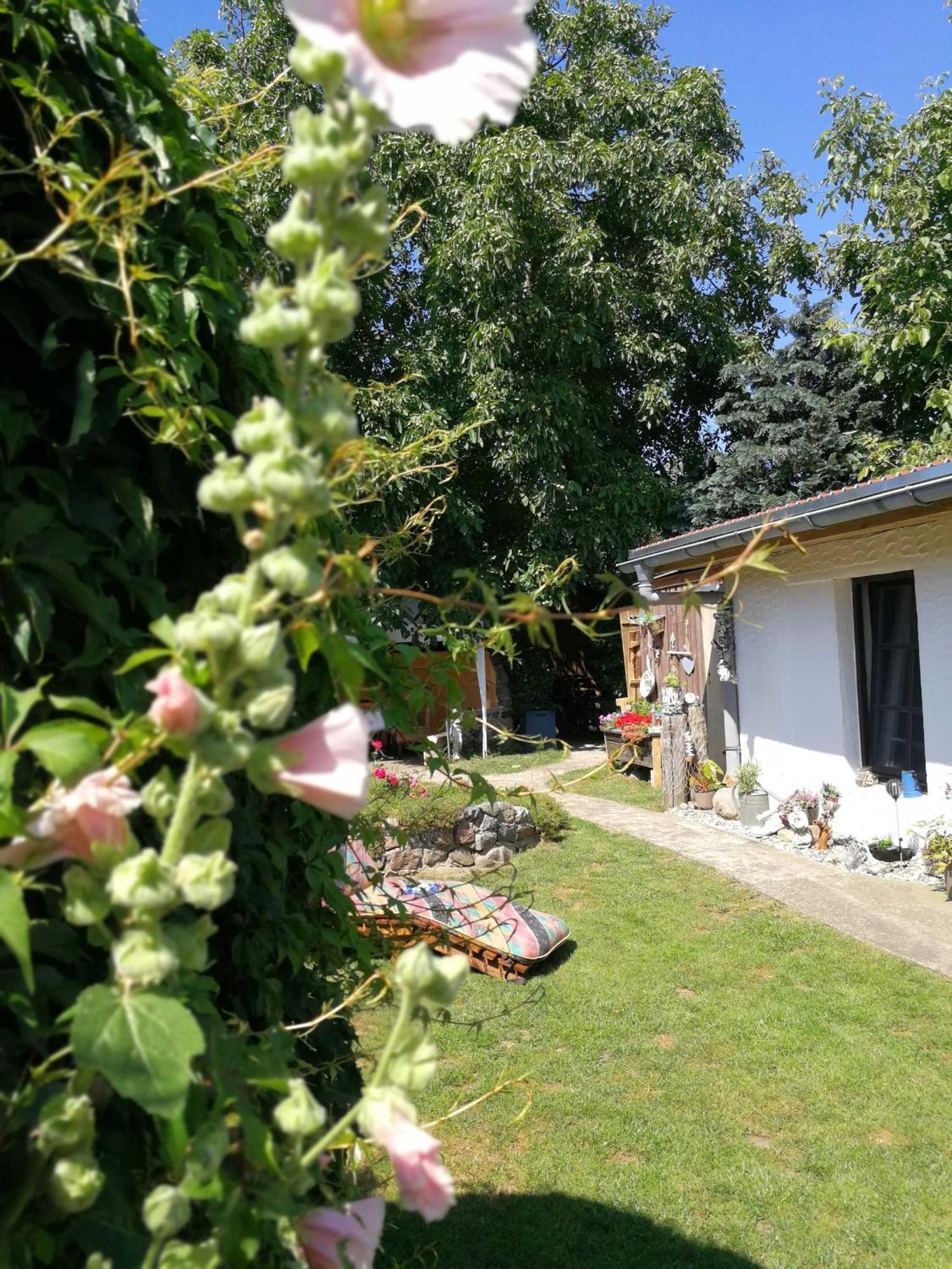 Bungalow Bei Warnemuende Elmenhorst/Lichtenhagen Exterior foto
